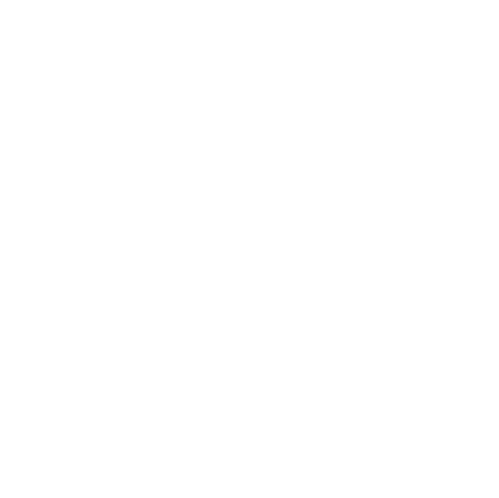 PuntTIC